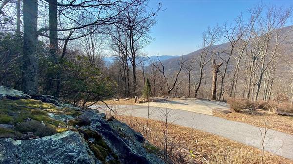 Black Mountain, NC 28711,936 Acacia CT