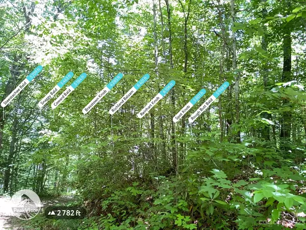 Cullowhee, NC 28723,TBD Moody Bridge RD #2 & 3