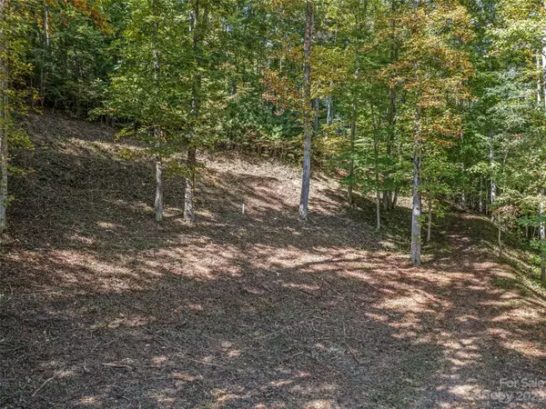 Burnsville, NC 28714,0 Satellite Mountain RD #Lots 3, 4, & 5