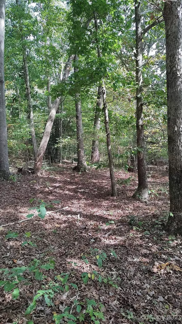 Marion, NC 28752,54 Sullivan DR #1