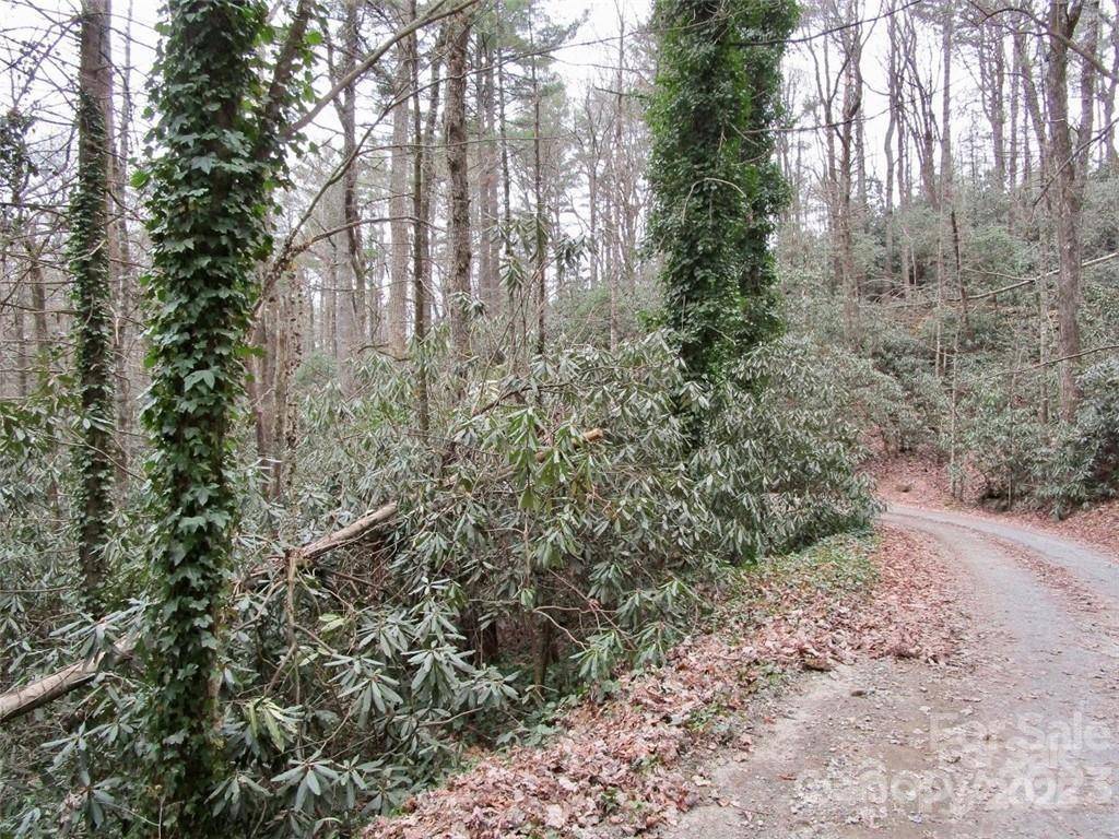Lake Toxaway, NC 28747,Lot #21 Toxaway Falls DR