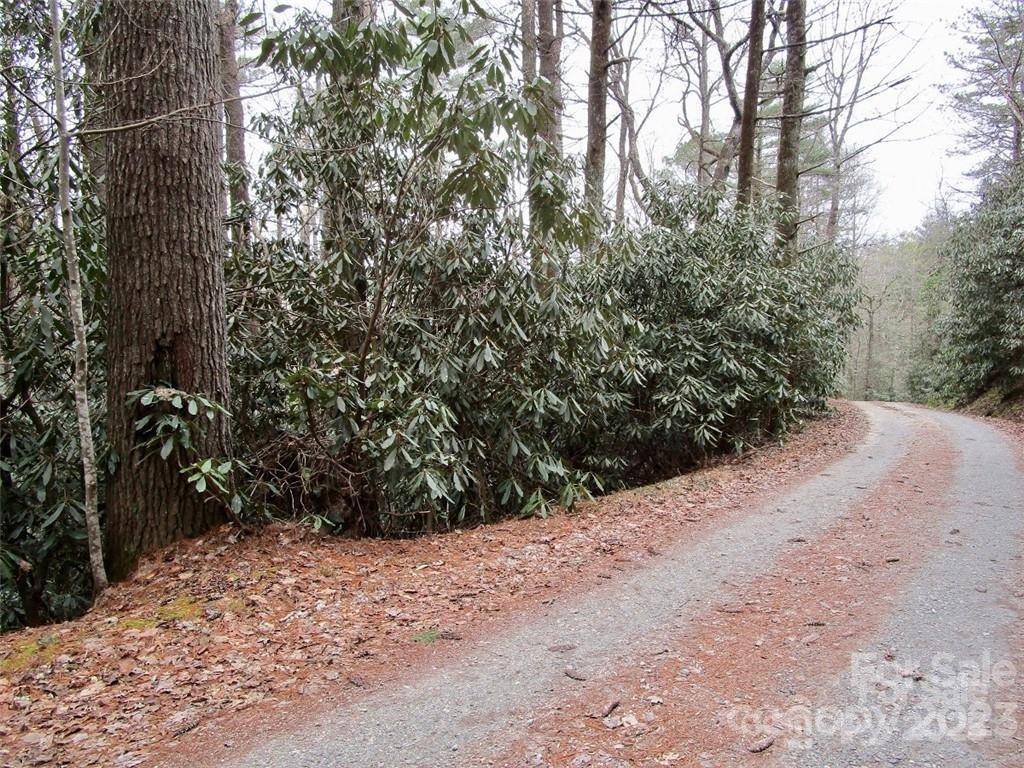 Lake Toxaway, NC 28747,Lot #22 Toxaway Falls DR