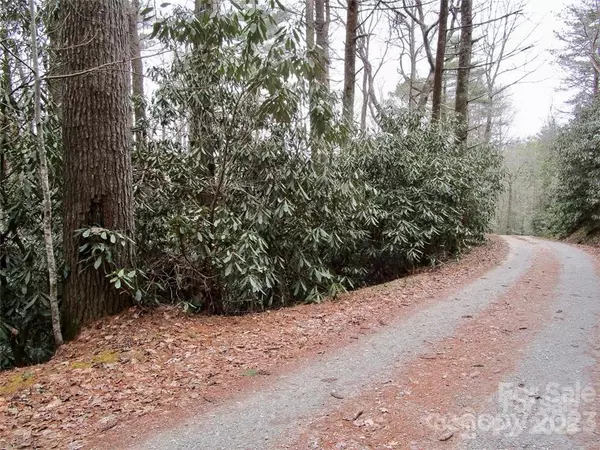 Lake Toxaway, NC 28747,Lot #22 Toxaway Falls DR