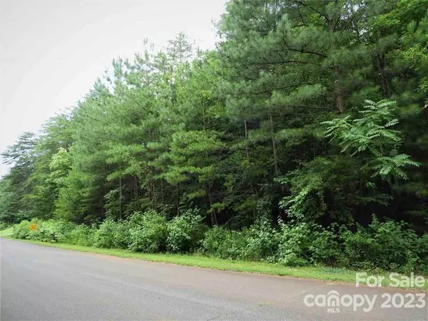 0 Chisholm TRL #54,  Rutherfordton,  NC 28139