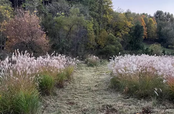 Mars Hill, NC 28754,1075 Calvin Edney RD