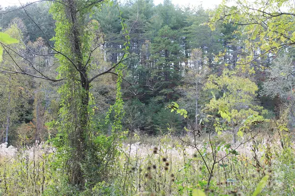 Mars Hill, NC 28754,935 Calvin Edney RD