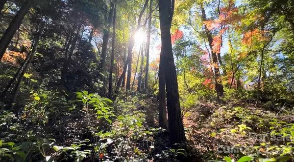 Casar, NC 28020,TBD Dirty Ankle RD