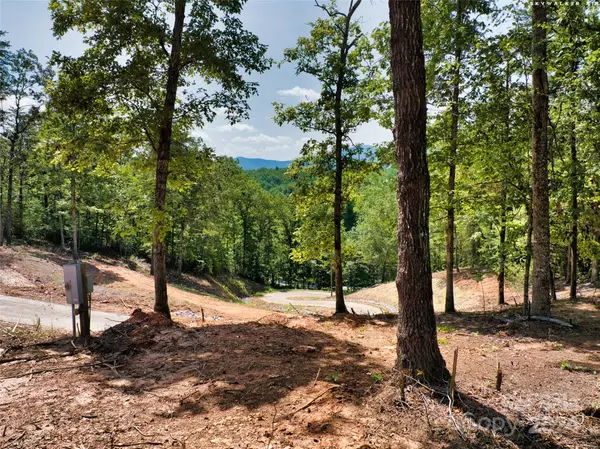 Mill Spring, NC 28756,LOT 1 Ridgeland WAY