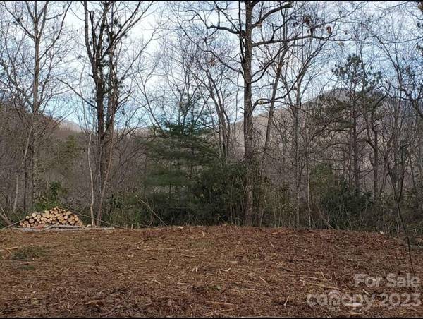 Lot 75 Honey Bee LN,  Sylva,  NC 28779