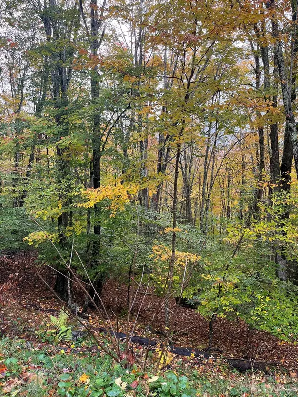 Beech Mountain, NC 28604,164 Wild Daisy LN