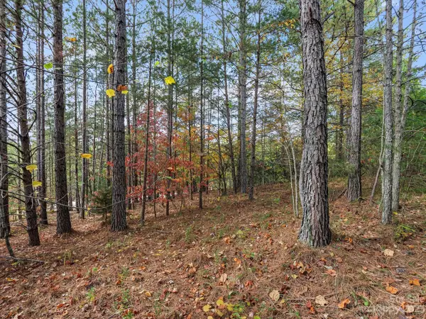 Mill Spring, NC 28756,00 River Walk LN #18