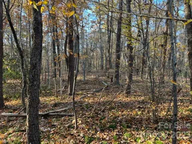 TBD Shady LN, Mill Spring, NC 28756