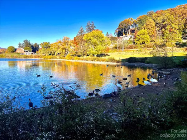 Lake Junaluska, NC 28745,00 S Lakeshore DR