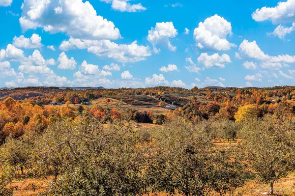 Hendersonville, NC 28792,52 & 57 Point Lookout CIR