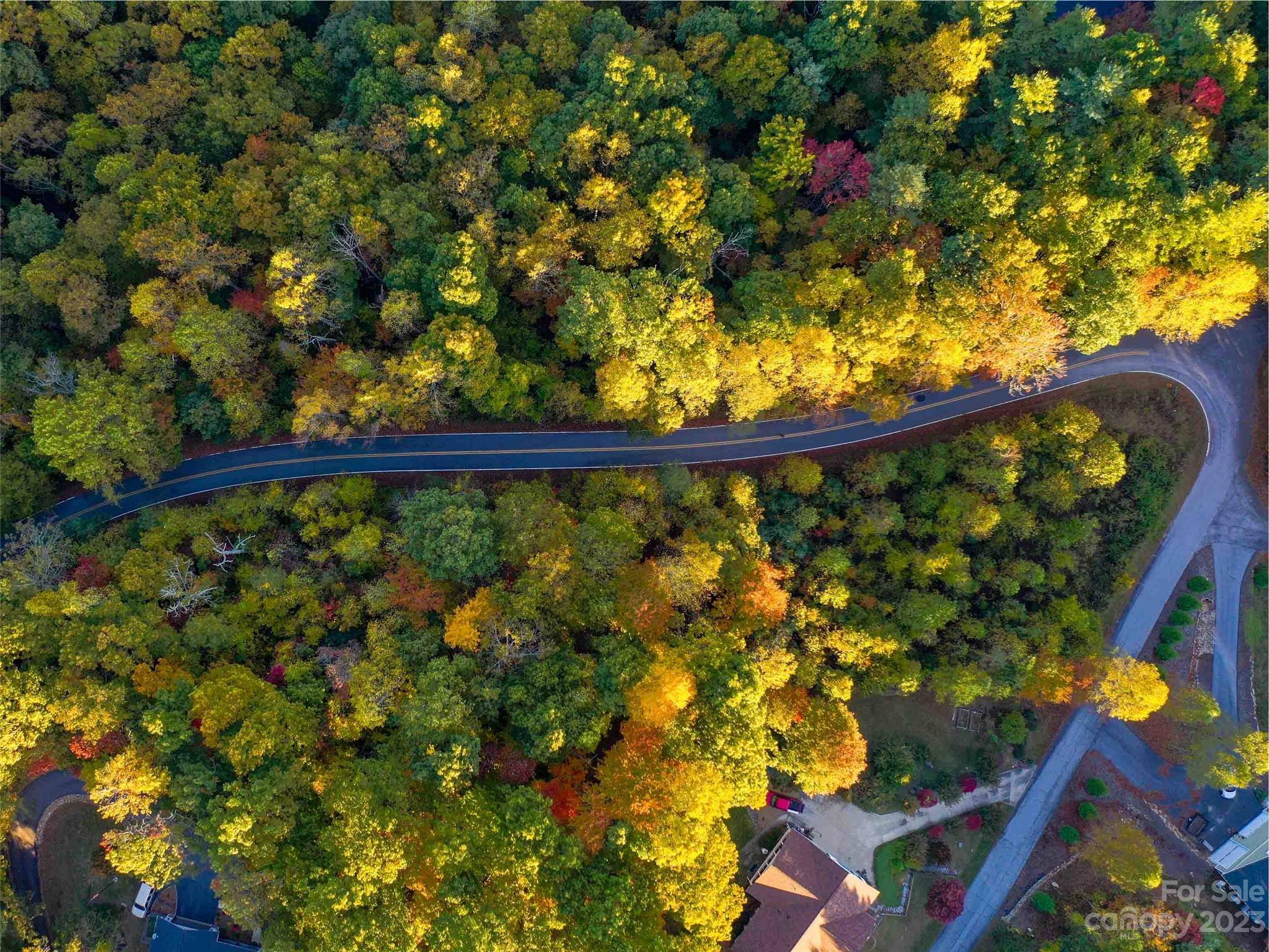Hendersonville, NC 28739,675 Loggers RUN
