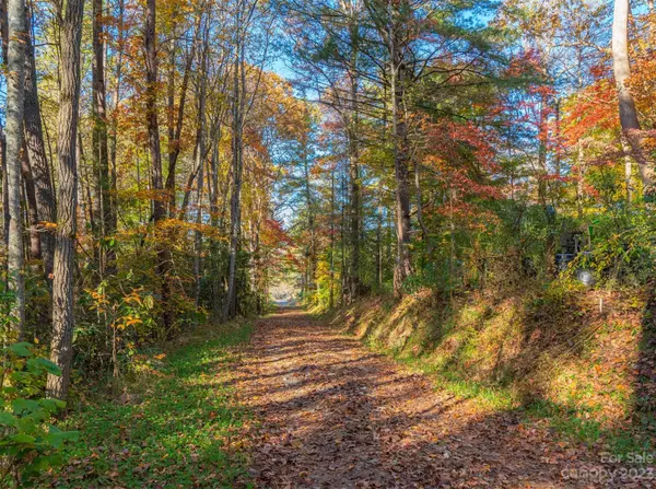 Fairview, NC 28730,99999 Brush Creek RD