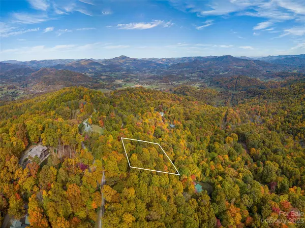 Waynesville, NC 28785,0000 Utah Mountain RD #28