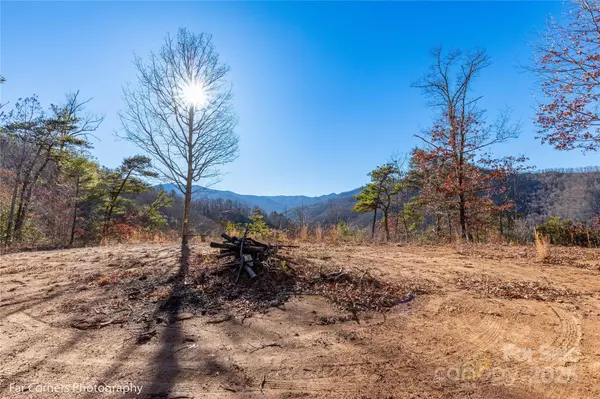 Canton, NC 28716,9999 Sourwood RD