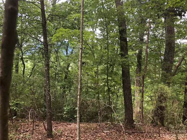 Lake Lure, NC 28746,Lot 35 Buffalo Creek RD