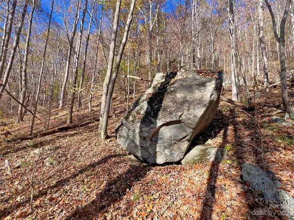 Hot Springs, NC 28743,00 NC 209 HWY #6