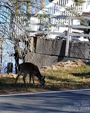 Beech Mountain, NC 28604,109 Pinnacle Ridge RD