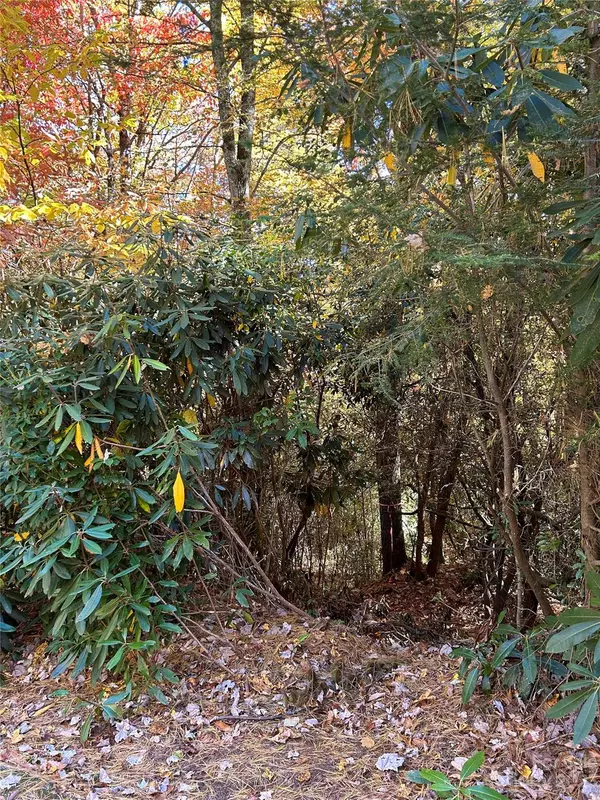 Sapphire, NC 28774,Lot 269 Beaver CT