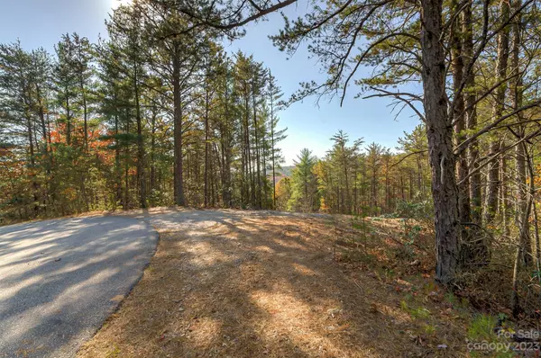 Nebo, NC 28761,9484 Shortoff View TER