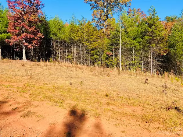 Lenoir, NC 28645,1 acre, Lot G47 Hitching Post TRL #Lot G47