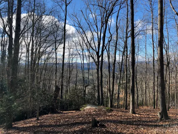 Pisgah Forest, NC 28768,L1 Paisley LN #1