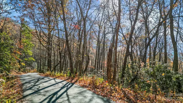 Swannanoa, NC 28778,TBD Summer Haven RD #32-36