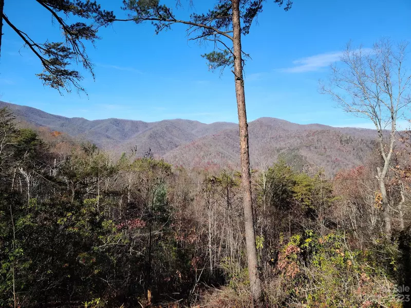 0 Blue Vista RD #1, Canton, NC 28716