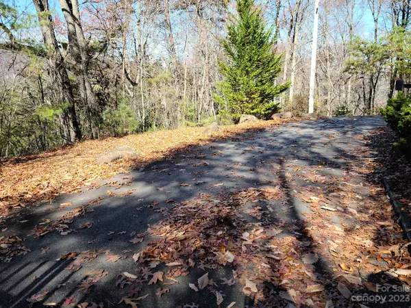 Canton, NC 28716,0000 Blue Vista RD