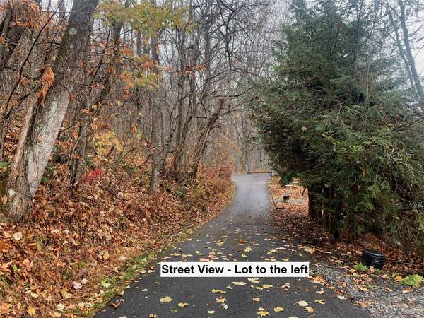 Lot 4 Hawks LN, Spruce Pine, NC 28777