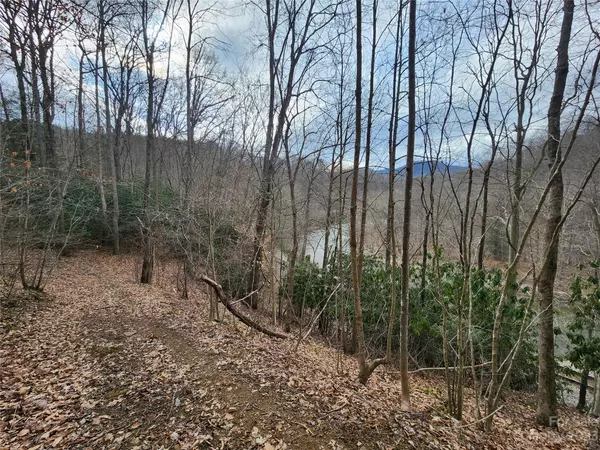 00 NC 80 HWY, Bakersville, NC 28705