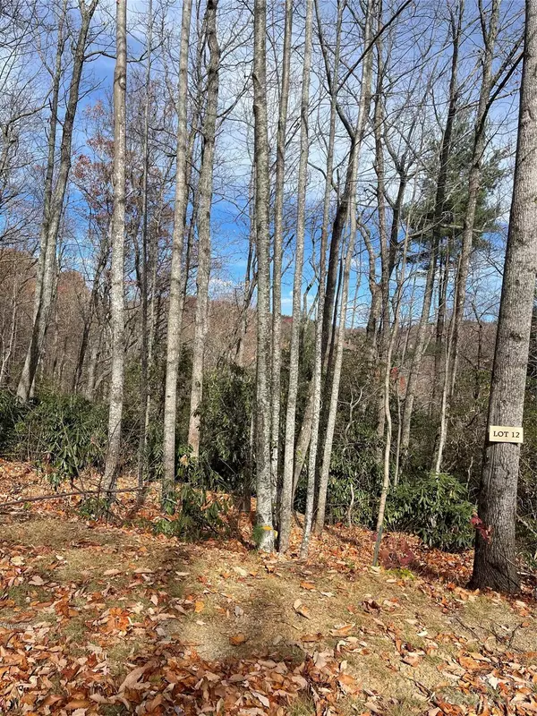 Zirconia, NC 28790,000 Eagle Ridge RD