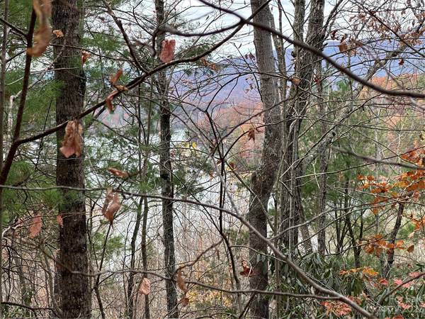 Lot 4 Waters Edge DR #4, Nebo, NC 28761