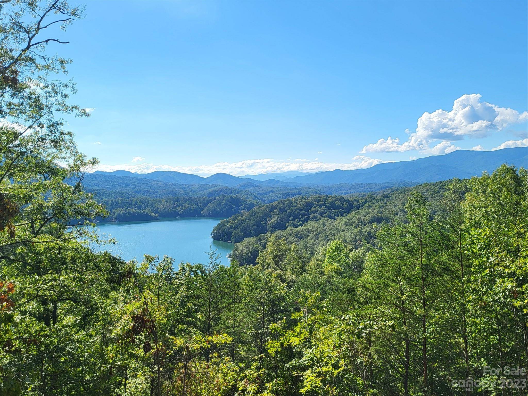 Bryson City, NC 28713,85-3 Eagles Flight FLD #85-3