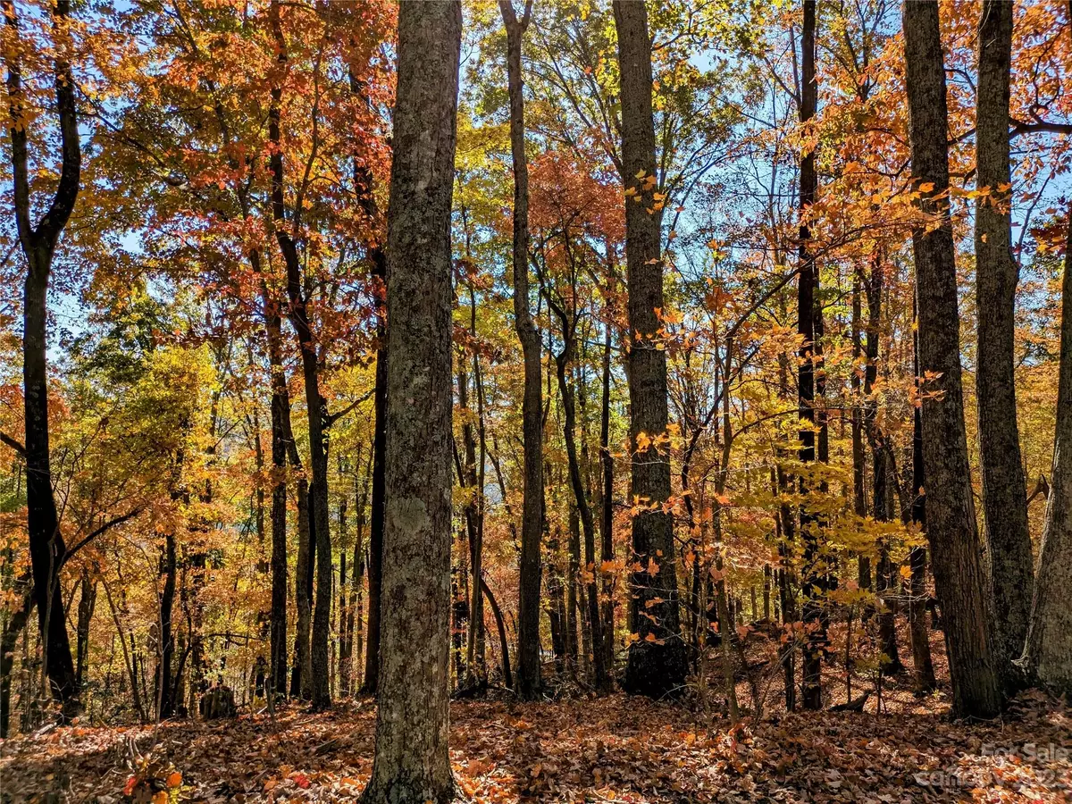 Nebo, NC 28761,Lot 28 Hidden Lake Pkwy