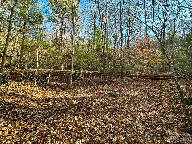 TBD Webb Cove RD, Asheville, NC 28804
