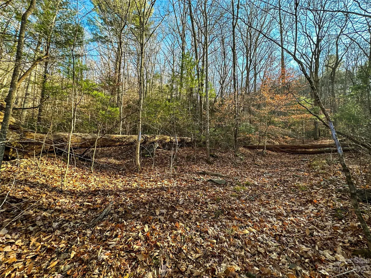 Asheville, NC 28804,TBD Webb Cove RD