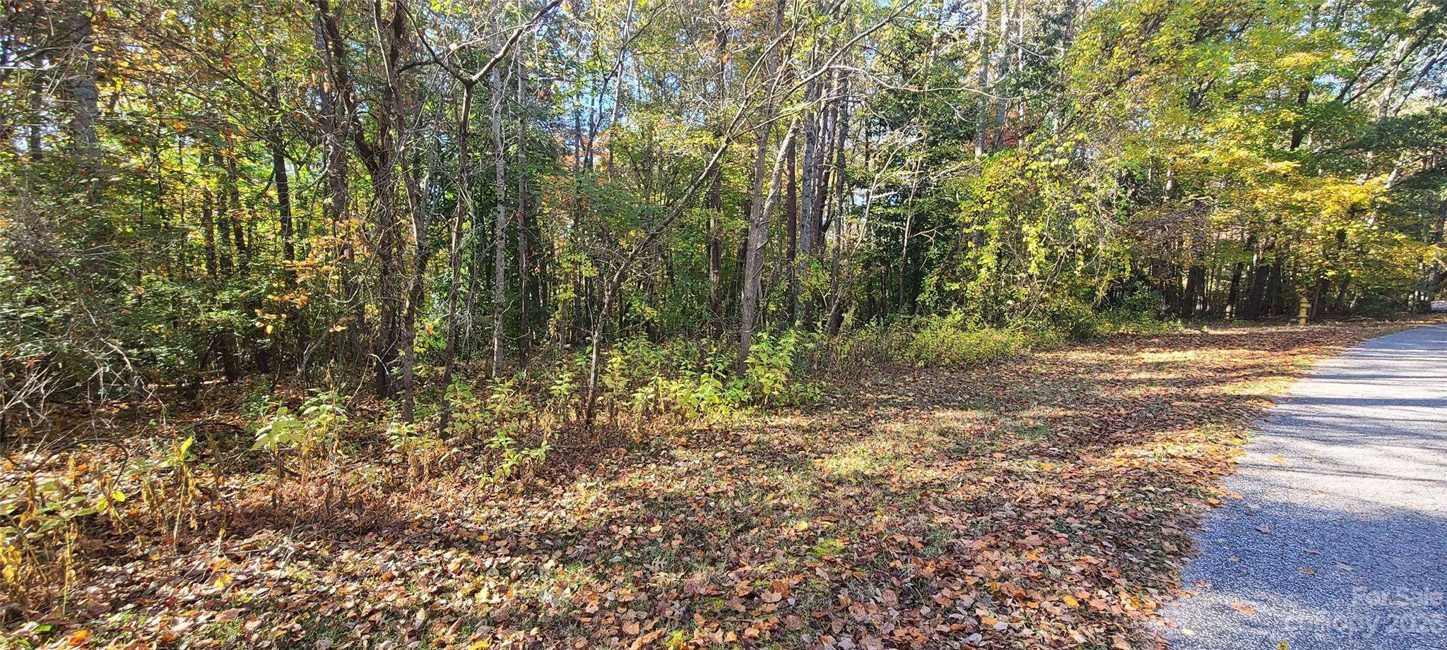 Lot 6 Amber Oaks DR, Rutherfordton, NC 28139