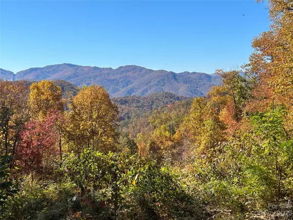 Bryson City, NC 28713,272 Shotgun PATH #45