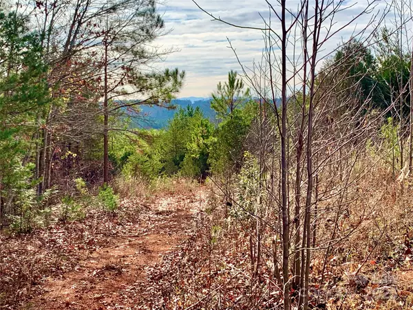Lenoir, NC 28645,2.53 acres Low Valley WAY #Lot 602