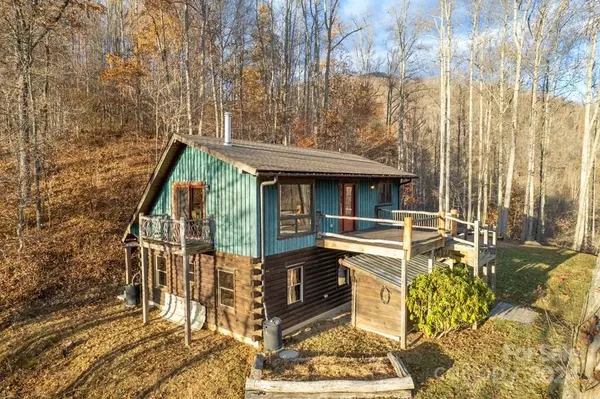 Sylva, NC 28779,223 Choke Berry RDG #3