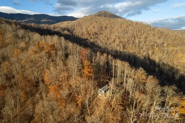 Sylva, NC 28779,223 Choke Berry RDG #3