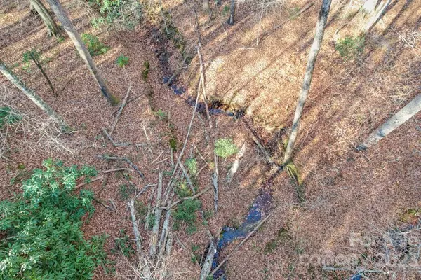 Nebo, NC 28761,TBD Larkhaven DR #52-11