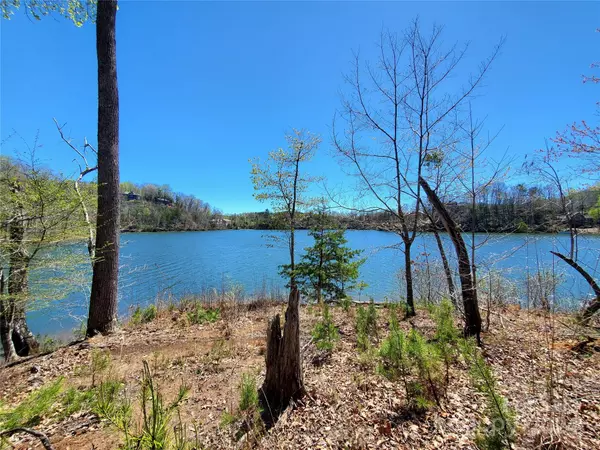 Mill Spring, NC 28756,14 Jackson Cove Pkwy