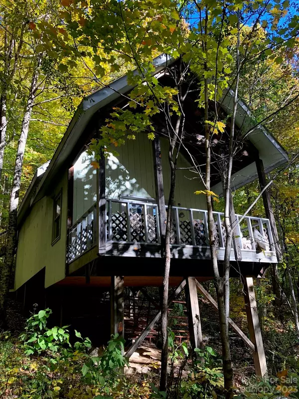 Barnardsville, NC 28709,999 Gavin Glen RD