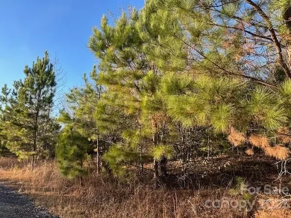 Forest City, NC 28043,0 Oakland RD #1