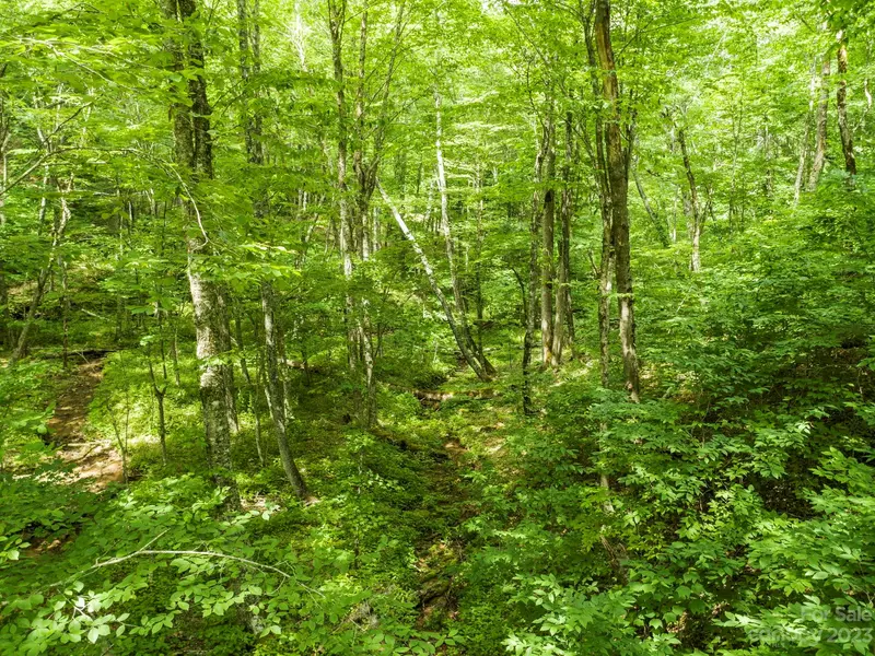 TBD Brothers LN, Mars Hill, NC 28754